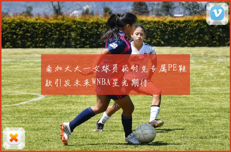 南加大大一女球员获耐克专属PE鞋款引发未来WNBA星光期待