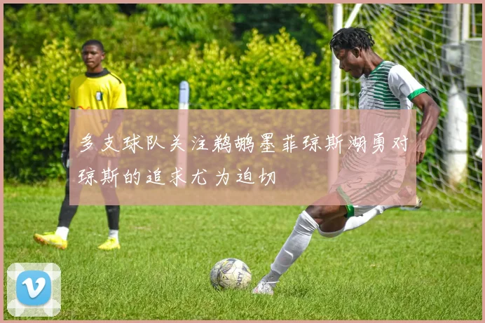 多支球队关注鹈鹕墨菲琼斯湖勇对琼斯的追求尤为迫切