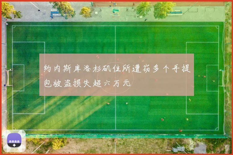 约内斯库洛杉矶住所遭窃多个手提包被盗损失超六万元