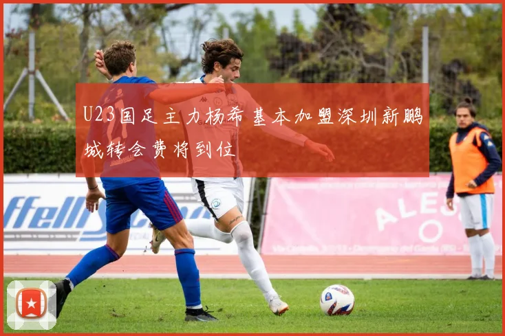 U23国足主力杨希基本加盟深圳新鹏城转会费将到位